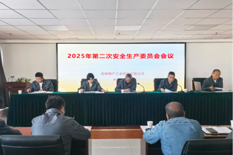 Ͷ˾ٿ2025ڶΰȫίԱ