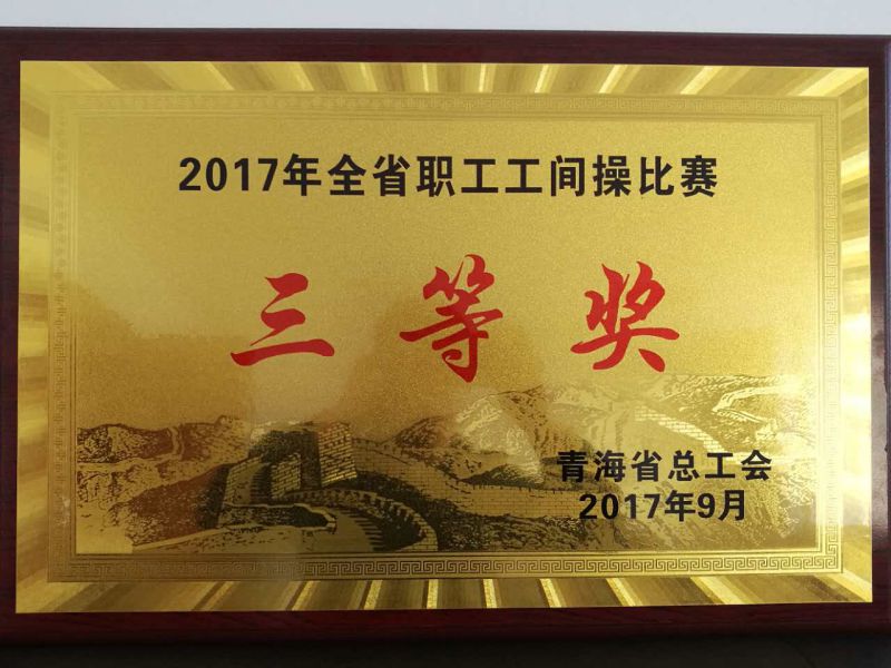 2017ȫʡְٱȽ