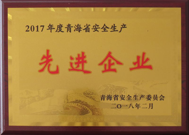 2017ȰȫȽҵ
