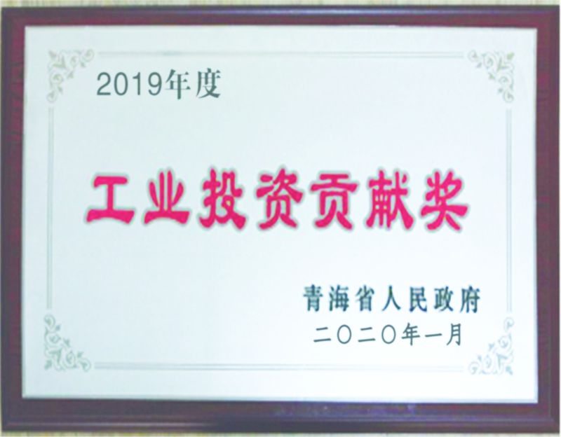 2019ȹҵͶʹ׽